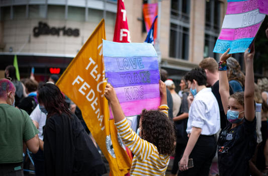 Despite Harris loss, LGBTQ+ sees major election wins