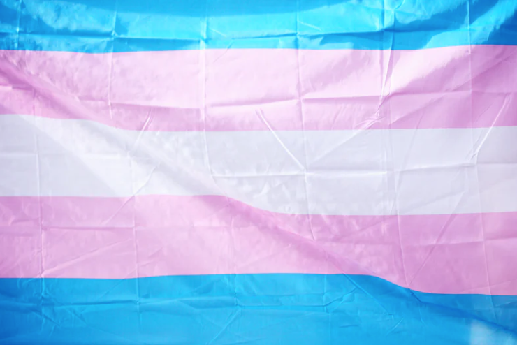 March 31st marks Transgender Day of Visibility.||